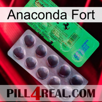 Anaconda Strong new04